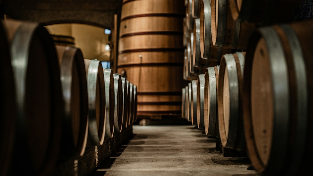 Bottiglie di vino in cantina