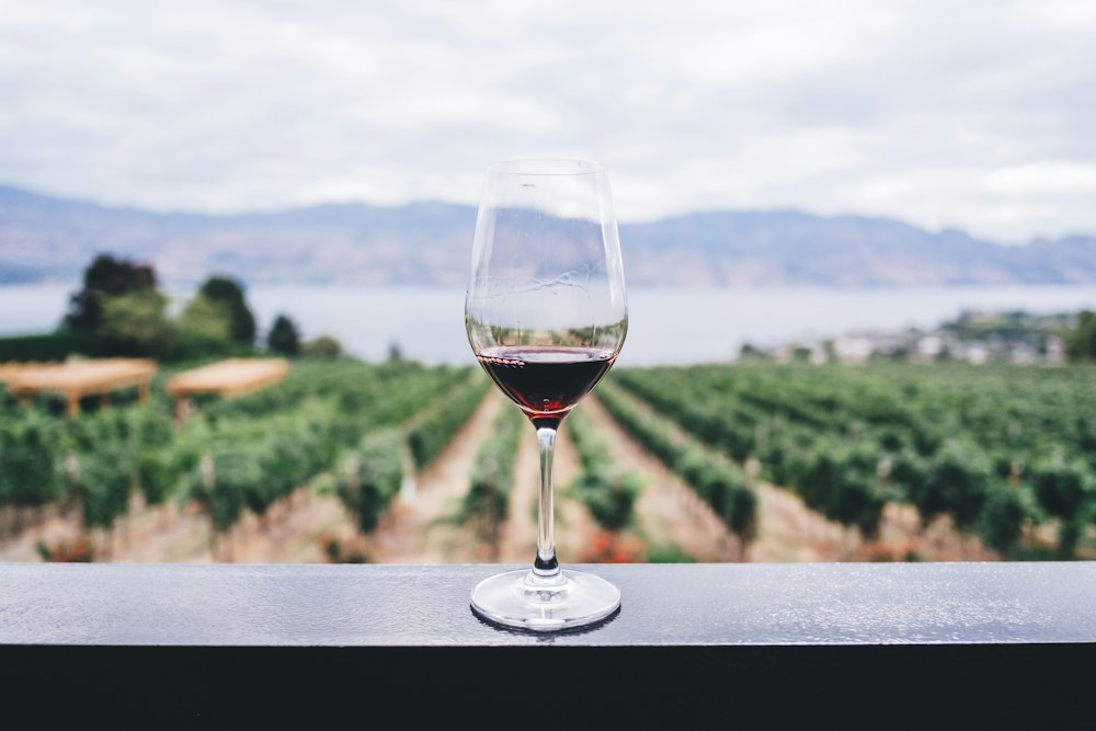 Degustazione in cantina